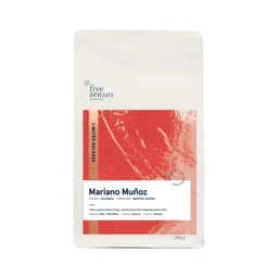 Mariano Muñoz coffee beans from Five Senses Coffee