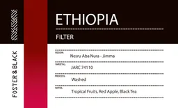 Nesru Aba Nura coffee beans from Foster & Black