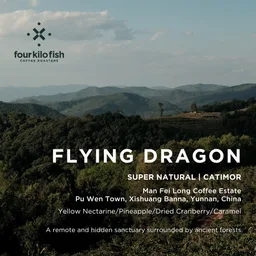 Flying Dragon coffee beans from Four Kilo Fish Coffee