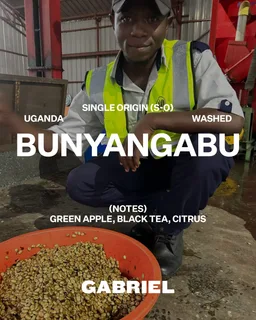 Bunyangabu coffee beans from Gabriel Coffee
