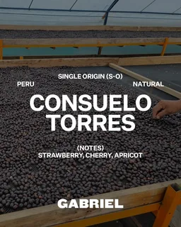 Consuelo Torres coffee beans from Gabriel Coffee