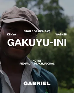 Gakuyu-ini coffee beans from Gabriel Coffee
