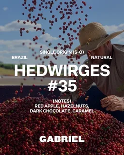 Hedwirges #35 coffee beans from Gabriel Coffee
