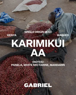 Karimikui AA coffee beans from Gabriel Coffee