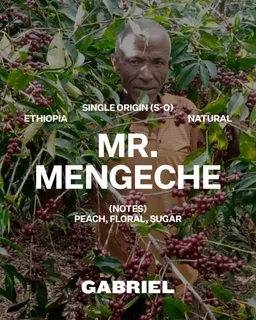 Mr. Mengeche coffee beans from Gabriel Coffee