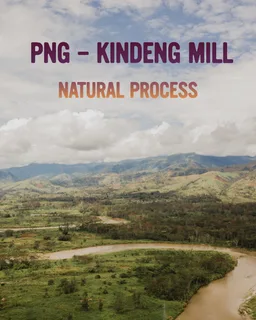 Kindeng Mill coffee beans from Gigante
