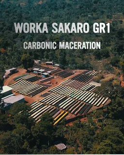 Worka Sakaro GR1 coffee beans from Gigante