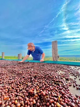 Deyvid Leandro coffee beans from Grace And Taylor