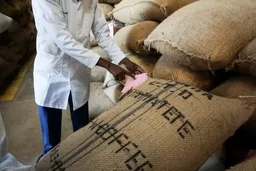 Kii Peaberry coffee beans from Grace And Taylor