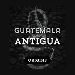 Antigua coffee beans from Grind Roast Masters