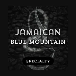 Blue Mountain coffee beans from Grind Roast Masters