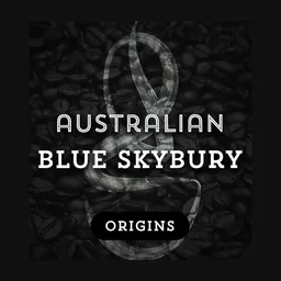 Blue Skybury coffee beans from Grind Roast Masters