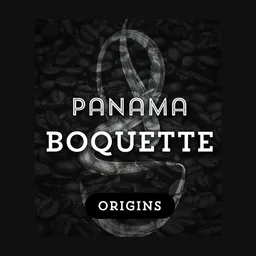 Boquette coffee beans from Grind Roast Masters