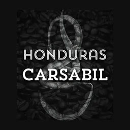 Carsabil coffee beans from Grind Roast Masters
