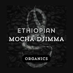 Mocha Djimma coffee beans from Grind Roast Masters