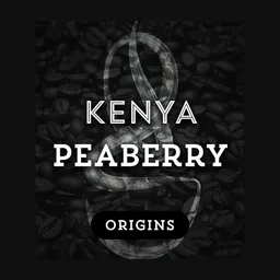 Peaberry coffee beans from Grind Roast Masters