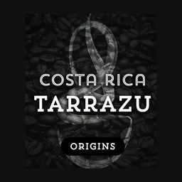 Tarrazu coffee beans from Grind Roast Masters