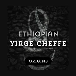 Yirge Cheffe coffee beans from Grind Roast Masters