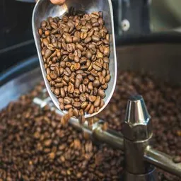 Rosevears Blend coffee beans from Happy Farmer Organics