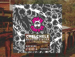 Chelchele Washing Station · Washed coffee beans from Josie Coffee