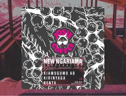New Ngariama FCS - Kiamugumo AB coffee beans from Josie Coffee
