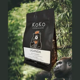 Bunyangabu Lactic Fermentation coffee beans from KoKo Coffee Roasters