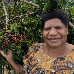 Luoka coffee beans from Kuki Coffee