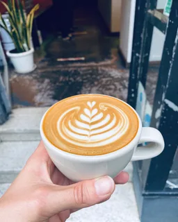 La Selva coffee beans from Kwila Coffee