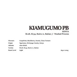 Kiamugumo PB coffee beans from Leible Coffee