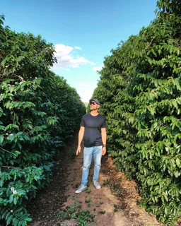 Ipê Amarelo coffee beans from Little Fish Coffee Roasters