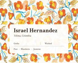 Israel Hernandez, Colombia (Gesha) coffee beans from Made of Many