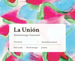 La Unión coffee beans from Made of Many