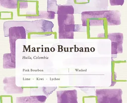 Marino Burbano coffee beans from Made of Many