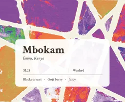Mbokam AA coffee beans from Made of Many