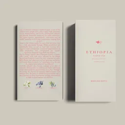 Hambela coffee beans from Manta Ray Coffee