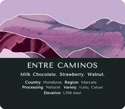 Entre Caminos coffee beans from Monastery Coffee