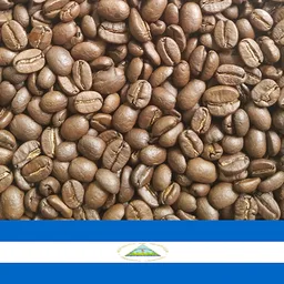 Certified Organic coffee beans from Montague Coffee