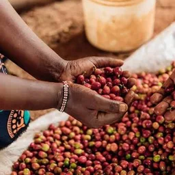 AA Kainamui coffee beans from Neighbourhood Coffee Roasters