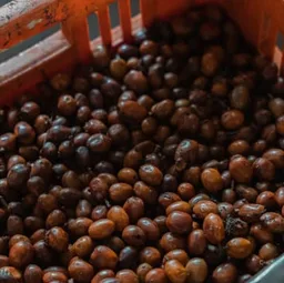 Geisha coffee beans from Neighbourhood Coffee Roasters