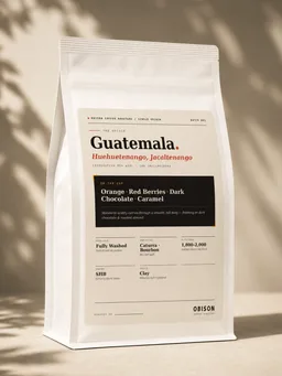 Huehuetenango, Jacaltenango coffee beans from Obison Coffee Roasters