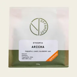 Aricha coffee beans from Offshoot Coffee