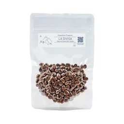 La Divisa coffee beans from Pablo & Rusty's Coffee Roasters