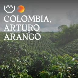 Arturo Arango coffee beans from Padre Coffee