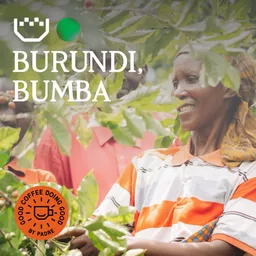 Bumba coffee beans from Padre Coffee