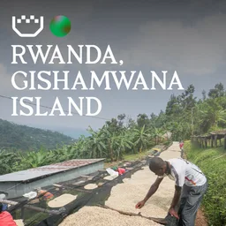 Gishamwana Island · Espresso coffee beans from Padre Coffee
