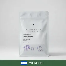 Roy Hernandez Parainema Microlot coffee beans from Panorama Coffee