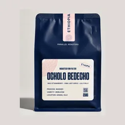 Ocholo Bedecho coffee beans from Parallel Roasters