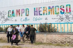 Campo Hermoso Black Honey Mossto Lactic Gesha coffee beans from Passport Specialty Coffee Roaster