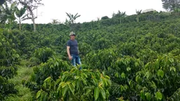 Carambolo coffee beans from Passport Specialty Coffee Roaster