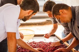 El Vergel · Espresso coffee beans from Passport Specialty Coffee Roaster